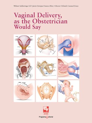 cover image of Vaginal Delivery, as the Obstetrician Would Say